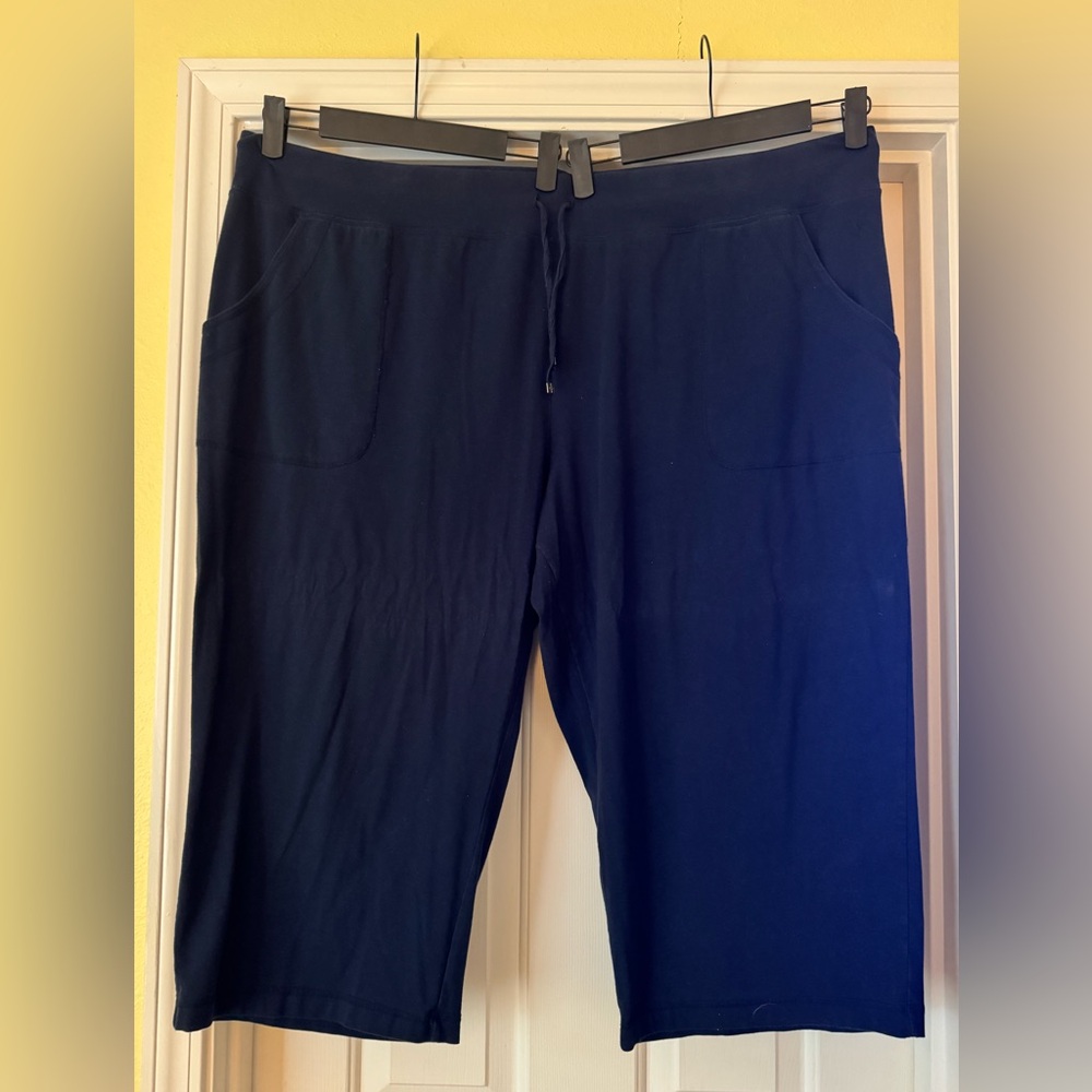 Danskin Now Navy Activewear Shorts/Capris 5X
